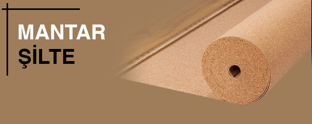 Mantar şilte
